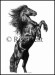 Friesian_Commission_by_equusrevelrous