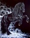 marco_in_the_mist___friesian_horse_art